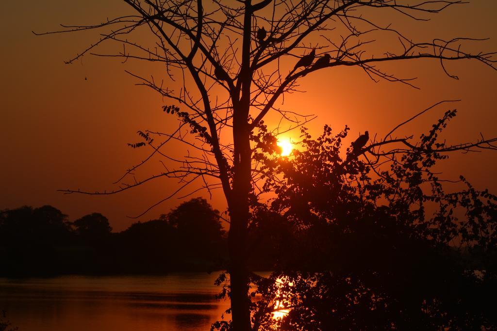 Готель Zambezi Mubala Camp Катіма-Муліло Екстер'єр фото